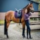 Bluzka treningowa SPPeppa Style AW24 - Schockemohle - deep mauve