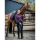 Bluzka treningowa SPPeppa Style AW24 - Schockemohle - deep mauve