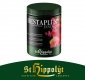 HESTA PLUS ŻELAZO- St Hippolyt - 1 kg
