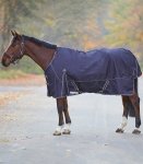Konik