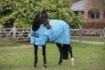 Derka padokowa, przeciwdeszczowa 0g 600D AMIGO Hero Ripstop - HORSEWARE - Delphinum Blue & Navy