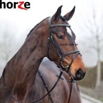 Ogłowie z nachrapnikiem angielskim kombinowanym CONSTANCE -  Horze