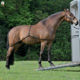 Zestaw do wprowadzania konia do przyczepy - WALDHAUSEN