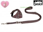 Obroża + smycz Eskadron NICI DOTS - jesień-zima 2015/2016 - brownie