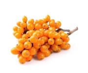 Rokitnik 0,5 kg - EQUIHERBS 