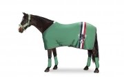 Derka Eskadron JERSEY STRIPE Classic Sports wiosna-lato 2017 - midgreen