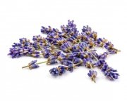 Lawenda - kwiat 2,5 kg - EQUIHERBS 
