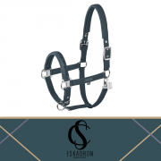 Kantar SOFTSHELL JEWEL DP Classic Sports S/S 26 - Eskadron - ocean 