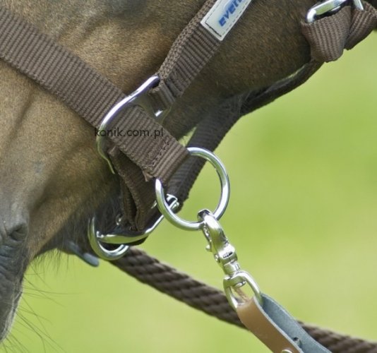 Kantar do jazdy RIDING - BUSSE