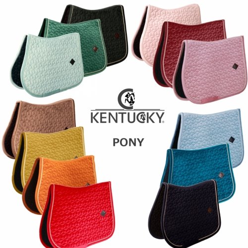 Potnik Kentucky Velvet Pony