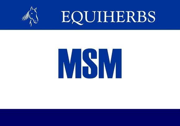 MSM 500g - EQUIHERBS