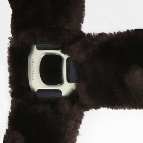 Kantar Teddy - EQUITHEME