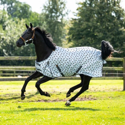 Derka siatkowa Stable buddy Dachshund SS26 - QHP 