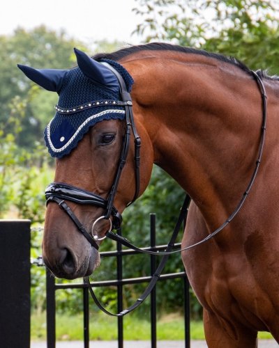 Ogłowie z nachrapnikiem szwedzkim ORLANDO - QHP - black/navy