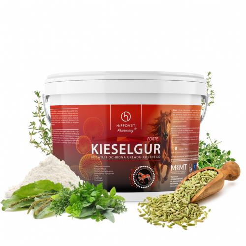Krzem Kieselgur Forte 3 kg - Hippovet Pharmacy 