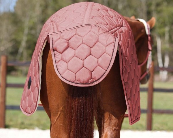 Derka stajenna podszyta misiem 600D Classy - QHP - dusty cedar