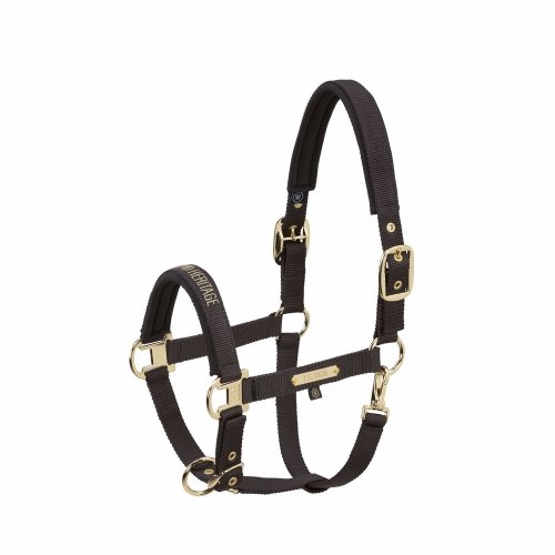 Kantar GIRTH DOUBLE PIN Heritage AW 25/26  - Eskadron - black truffle