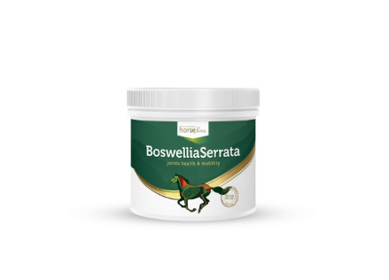Boswellia Seratta 500g - HorseLine PRO