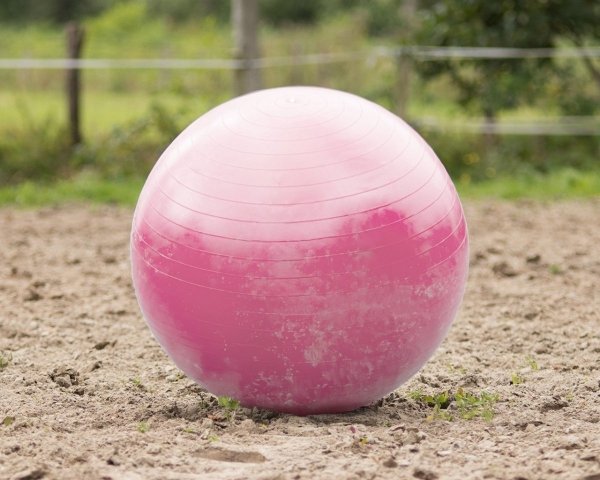 Piłka dla konia 100 cm - QHP