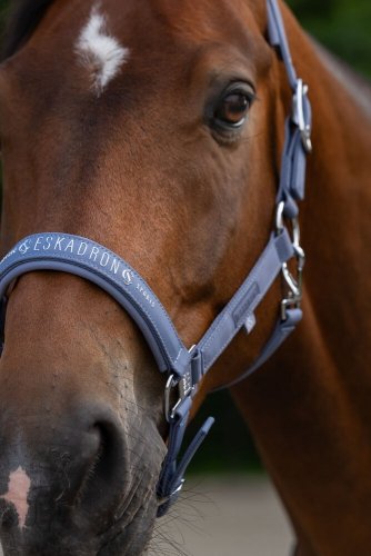 Kantar SPARKLE DOUBLE PIN Classic Sports S/S 26 - Eskadron - orchid