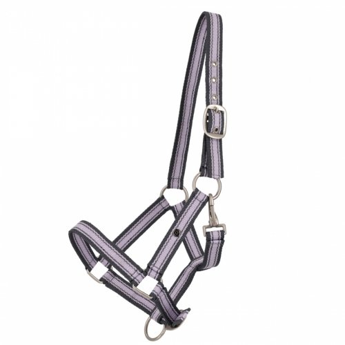 Kantar Yearling SS26 - QHP