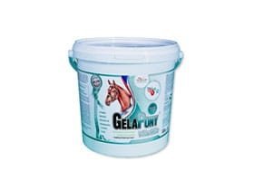 Witaminy i minerały GelaPony Vitamin 10,8 kg - Orling