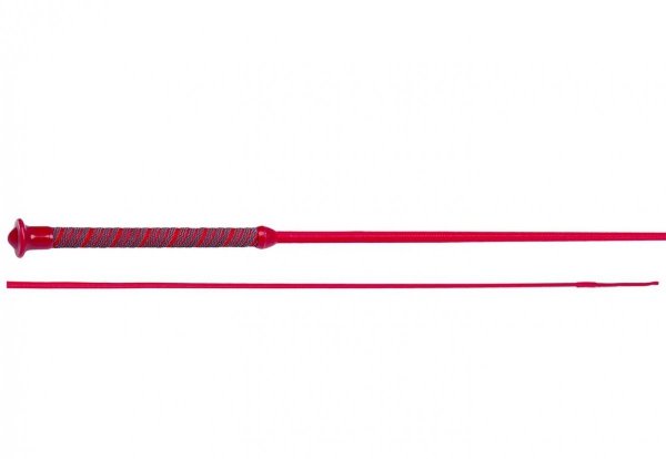 Bat ujeżdżeniowy OLYMPIC - START