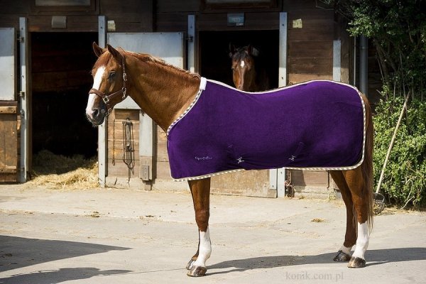 Derka polarowa letnia z pasami Equi-Theme - fiolet