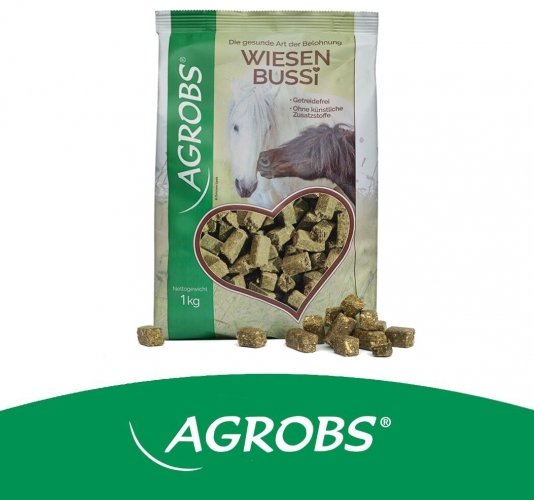 Healthy Treats – zdrowe smaczki dla koni 1 kg - AGROBS