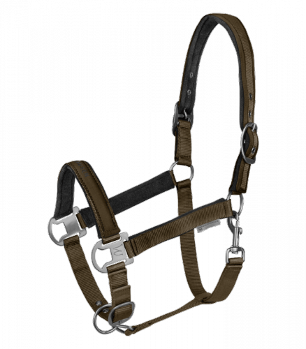 Kantar ATHLETIC - Waldhausen