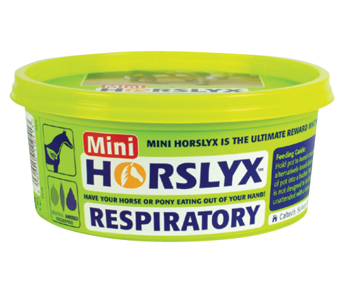 Lizawka smakowa MINI 650g - Horslyx RESPIRATORY