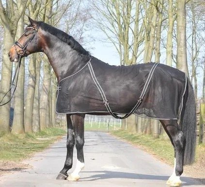 Derka siatkowa - Kavalkade