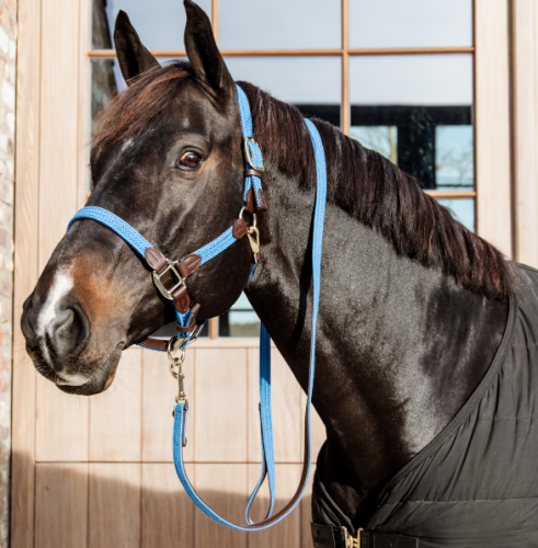 Kantar Nylon - Kentucky - light blue