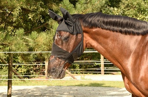 Maska przeciwko owadom z ochroną uszu i chrap - Covalliero