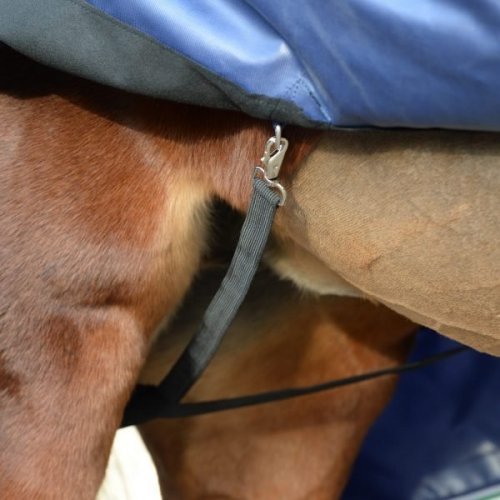 Derka padokowa 0g SMARTEX RAIN - Bucas - blue