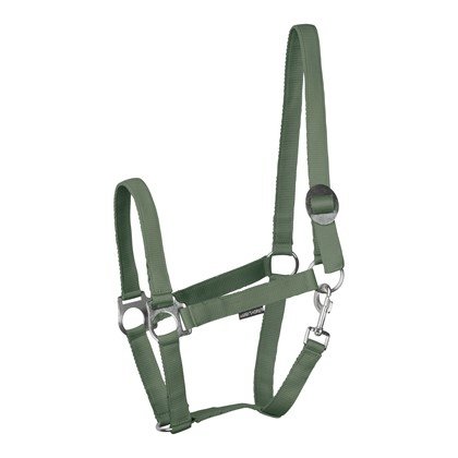 Kantar STLT - Harry's Horse