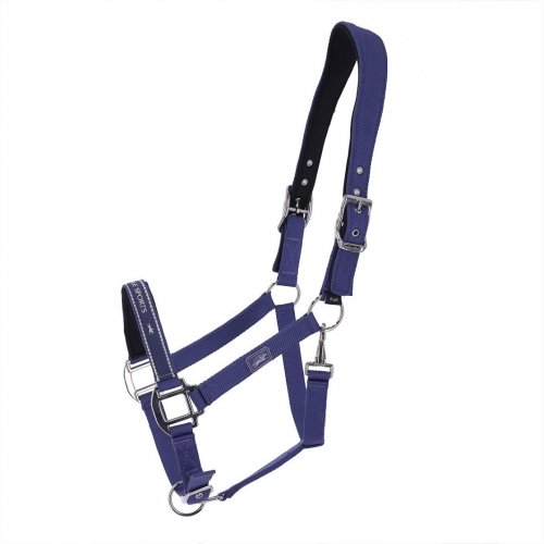 Kantar MEMPHIS ANATOMIC SS 2023 - Schockemohle - jeans