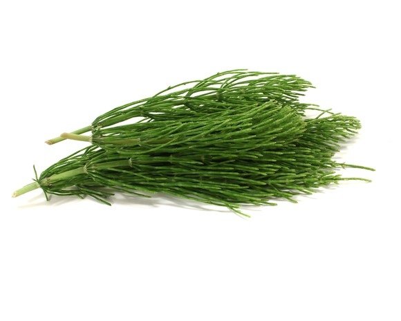Skrzyp polny 0,5 kg - EQUIHERBS 