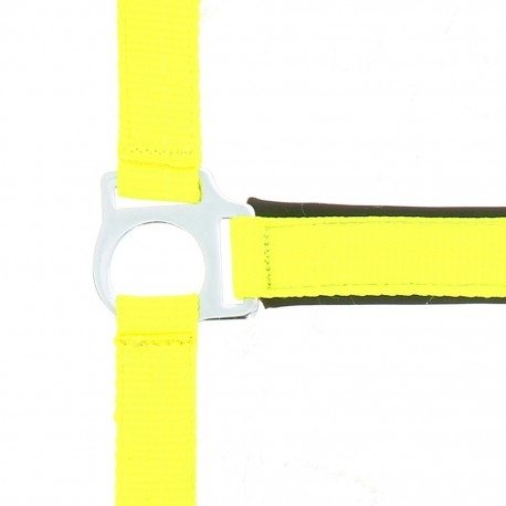 Kantar Fluo - Norton 