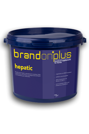 Brandon Plus Hepatic 3 kg-St Hippolyt
