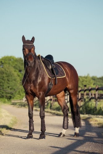 Nauszniki FLY HOOD CRYSTAL Heritage AW 25/26 - Eskadron - black truffle