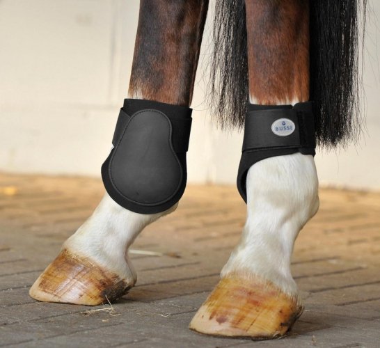 Ochraniacze JUMP - BUSSE - tył - pony