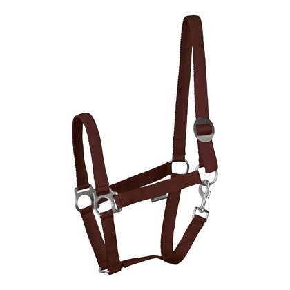 Kantar STLT - Harry's Horse