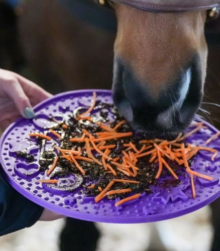 Mata do lizania spowalniająca karmienie Graze Maze - LIKIT