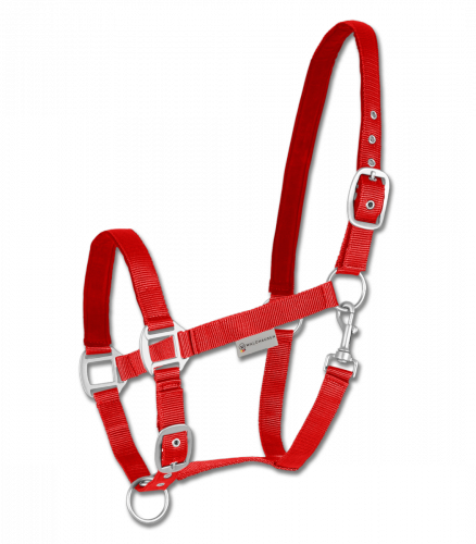 Kantar SATIN - Waldhausen