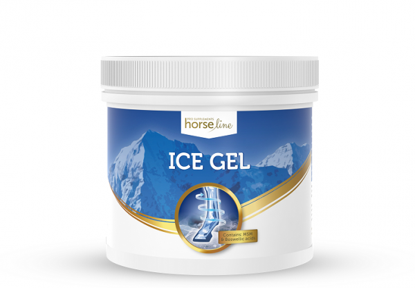 Żel chłodzący IceGel 650ml - HorseLine PRO