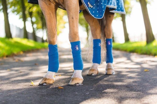 Bandaże polarowe Eskadron NICI FULL - 2017/18