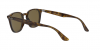 OKULARY RAY-BAN® RB 4258 710/73 50 ROZMIAR M
