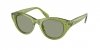 OKULARY SWAROVSKI SK 6025 3002/2 47 ROZMIAR S