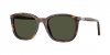 OKULARY PERSOL® PO 3355S 24/31 54 ROZMIAR M
